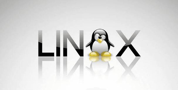 7-Server Linux Infrastructure — Enterprise service stack